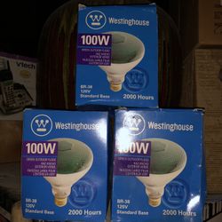 100 W Lightbulbs ( Green)