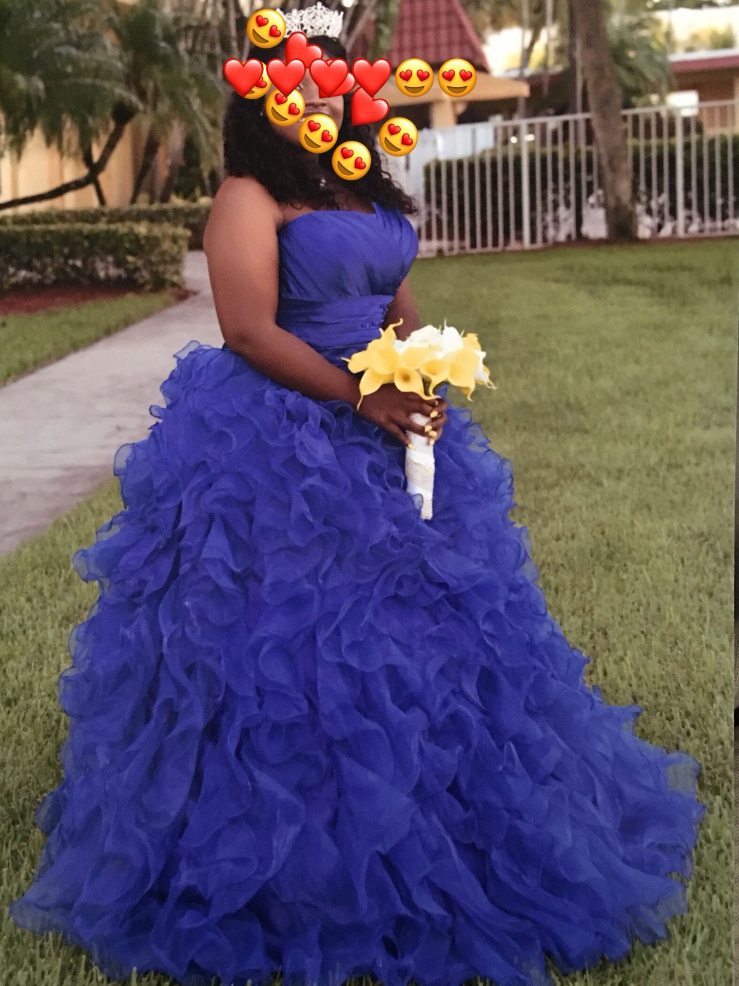 Prom / Quinceanera dress