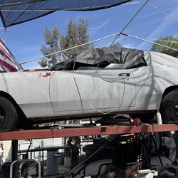 Car Hull (not sure what kind)