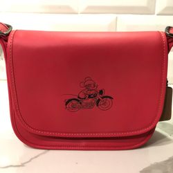 Disney Coach Bag