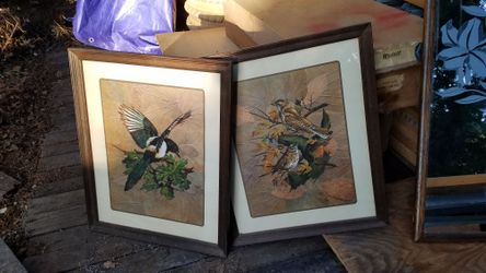 Pictures 22 x 18 inches