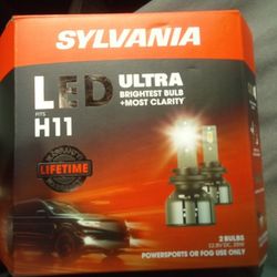 H11 LED Lights