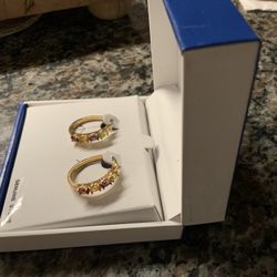 Multi-gem Hoop Pierced Earrings