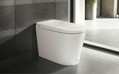 Smart Toilet in Box