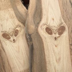 Live Edge Blue Pine