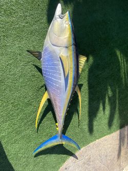 Yellowfin Tuna 85” (Mounted)
