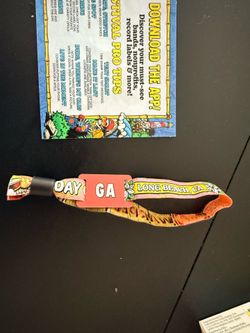 Warped tour 2 day GA ticket