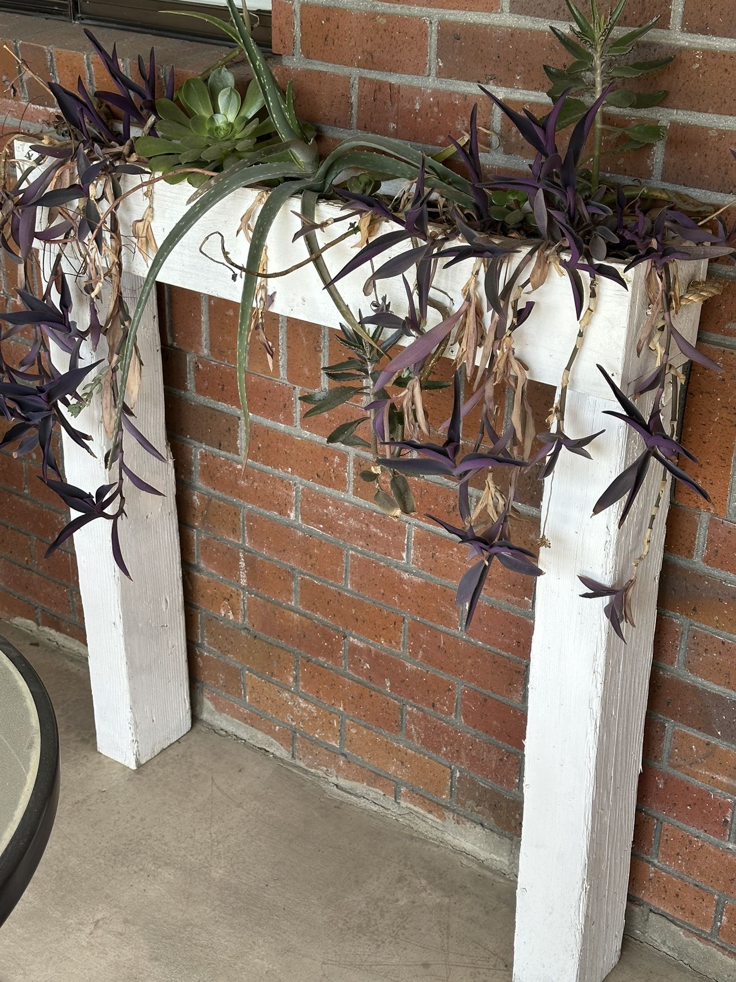 Narrow Raised Succulent Planter 