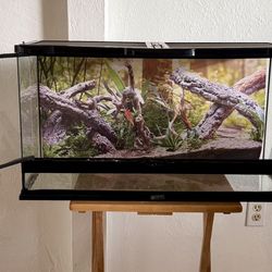 25 Gallon Reptile Tank