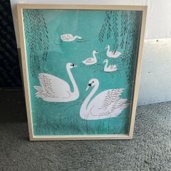 Swan’s Swimming In Pod Framed Photo, $8
