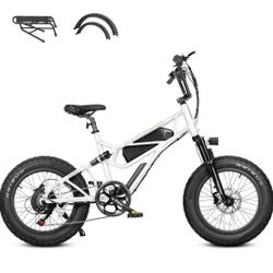 Electric Mountain Bike 