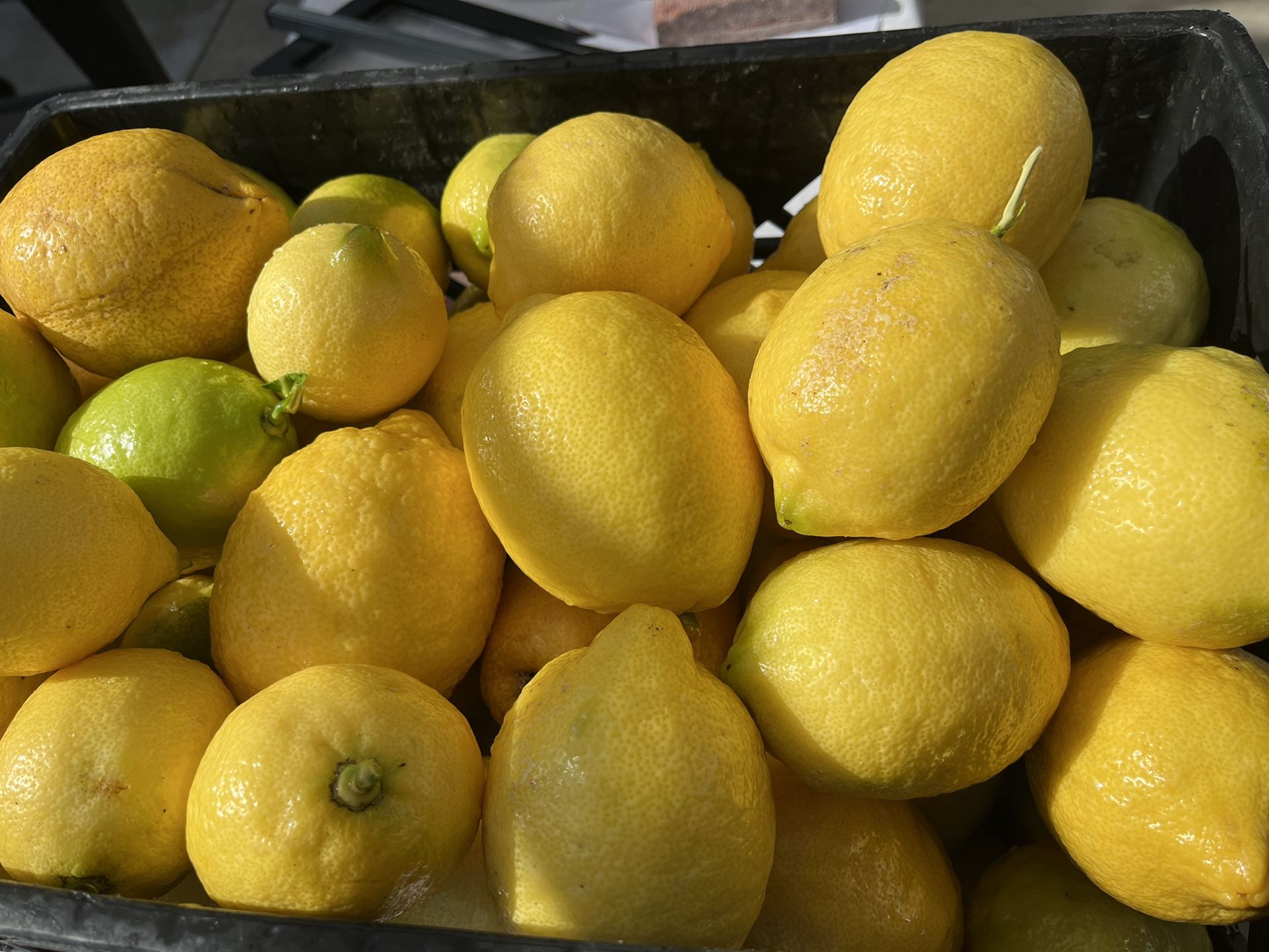Juice full Big Lemons For Sale 12 For $5