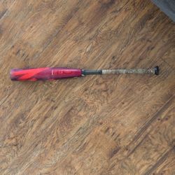 Demarini Zoa 31-8 2024