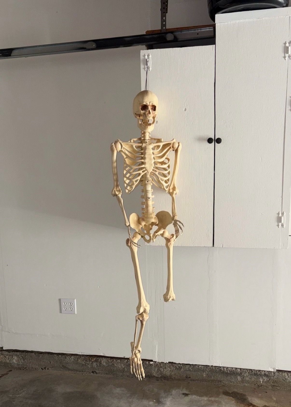 Skeleton