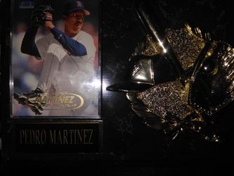 Pedro Martinez baseball memorabilia