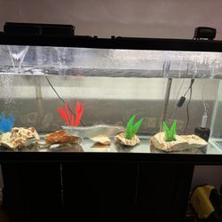 55 Gallons Fish Tank 