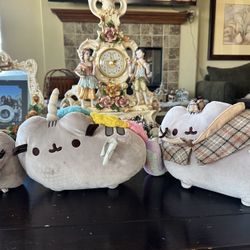 Pusheen 