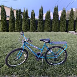 Women’s Bike 24”