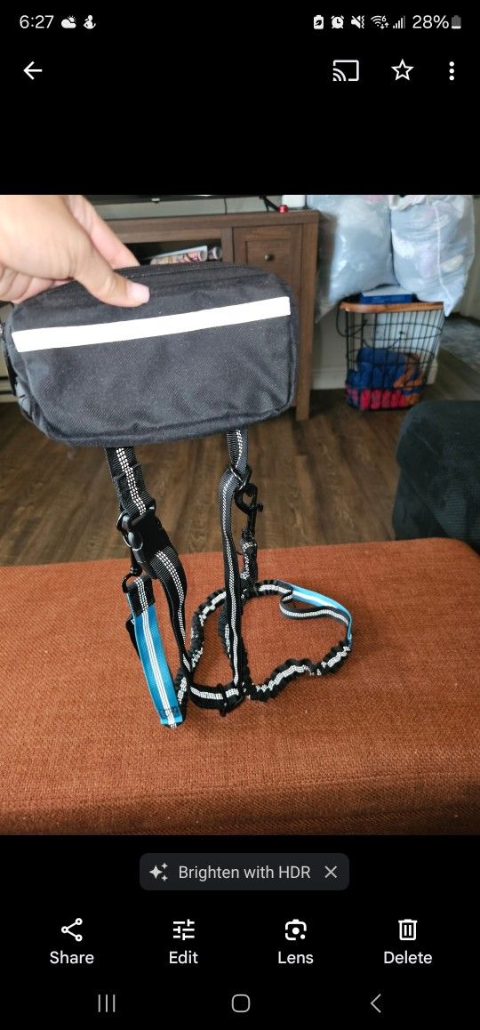 Dog Leash With Pouch