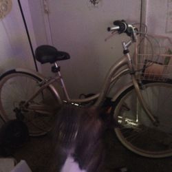 Woman’s Beach Cruiser