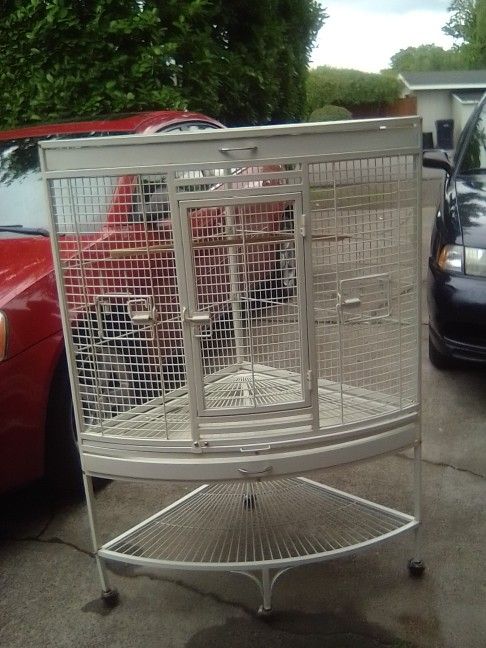 Bird Cage