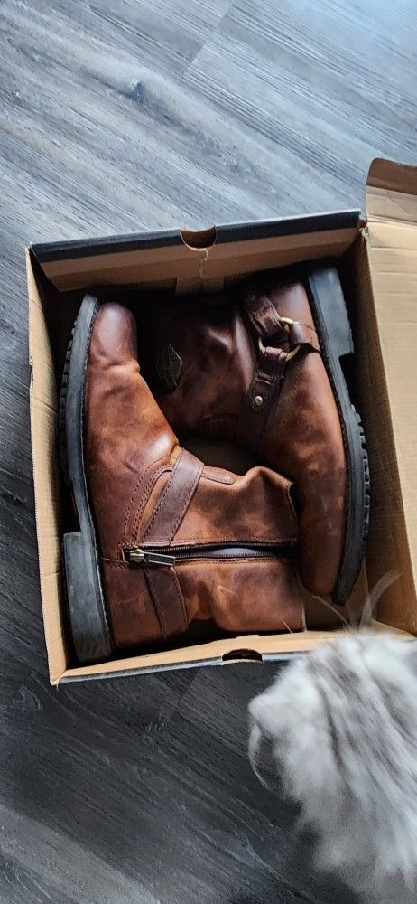 Harley Davidson Boots Size 13