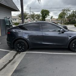 Tint For Sale