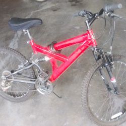 3 Biscleta