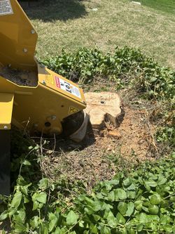 Stump Grinder