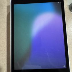 Apple iPad 8 10.2" 32GB Gray WiFi and Cellular Unlocked Excellent