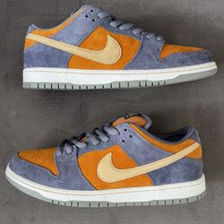 Nike SB Dunk Low Men’s 11