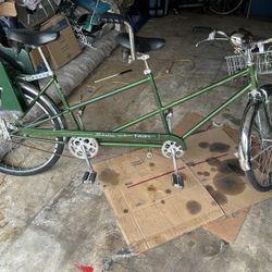 Schwinn Twin Bike