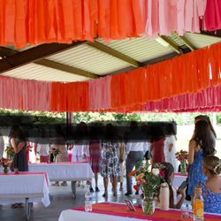 Wedding, Birthday, Party Streamer Decorations 