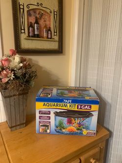 Color changing aquarium