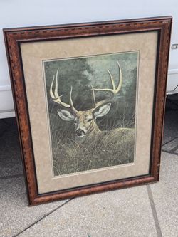 Deer picture