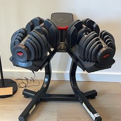 BowFlex 1090 Adjustable Dumbells (10-90lbs) with Media Stand