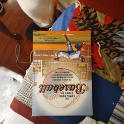 The Comic Book Story Of Baseball 