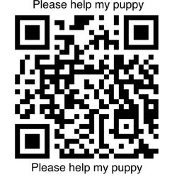 Please Help Pumpa Get Back To Healthy