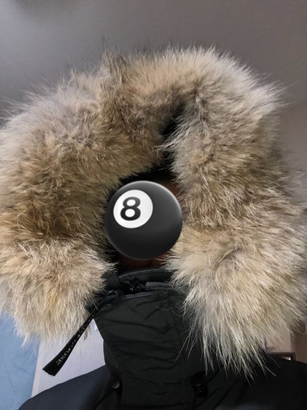 canada goose bronx canada goose bronx