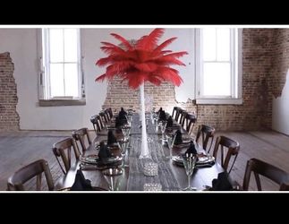 10 pieces Red Feathers for Wedding Party Centerpiece Decor size 12-14 inches ~ New