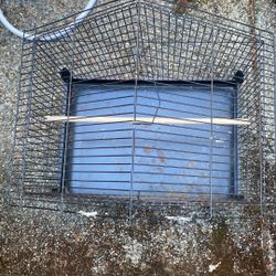 Birdcage