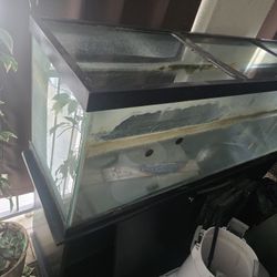 120 gal tank with stand