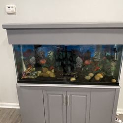 55-65 Gallon Fish Tank, Aquarium 