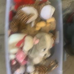 Plush Toys  Diferent Prices Ask