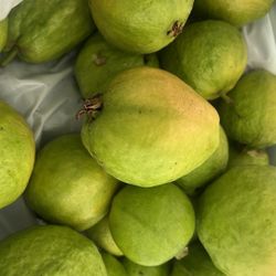 Guavas