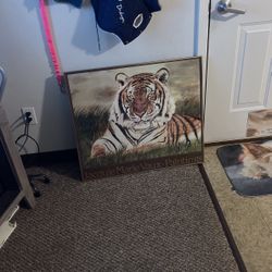Tiger Picture 10 Dollars 