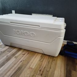 Igloo Max Cold Cooler