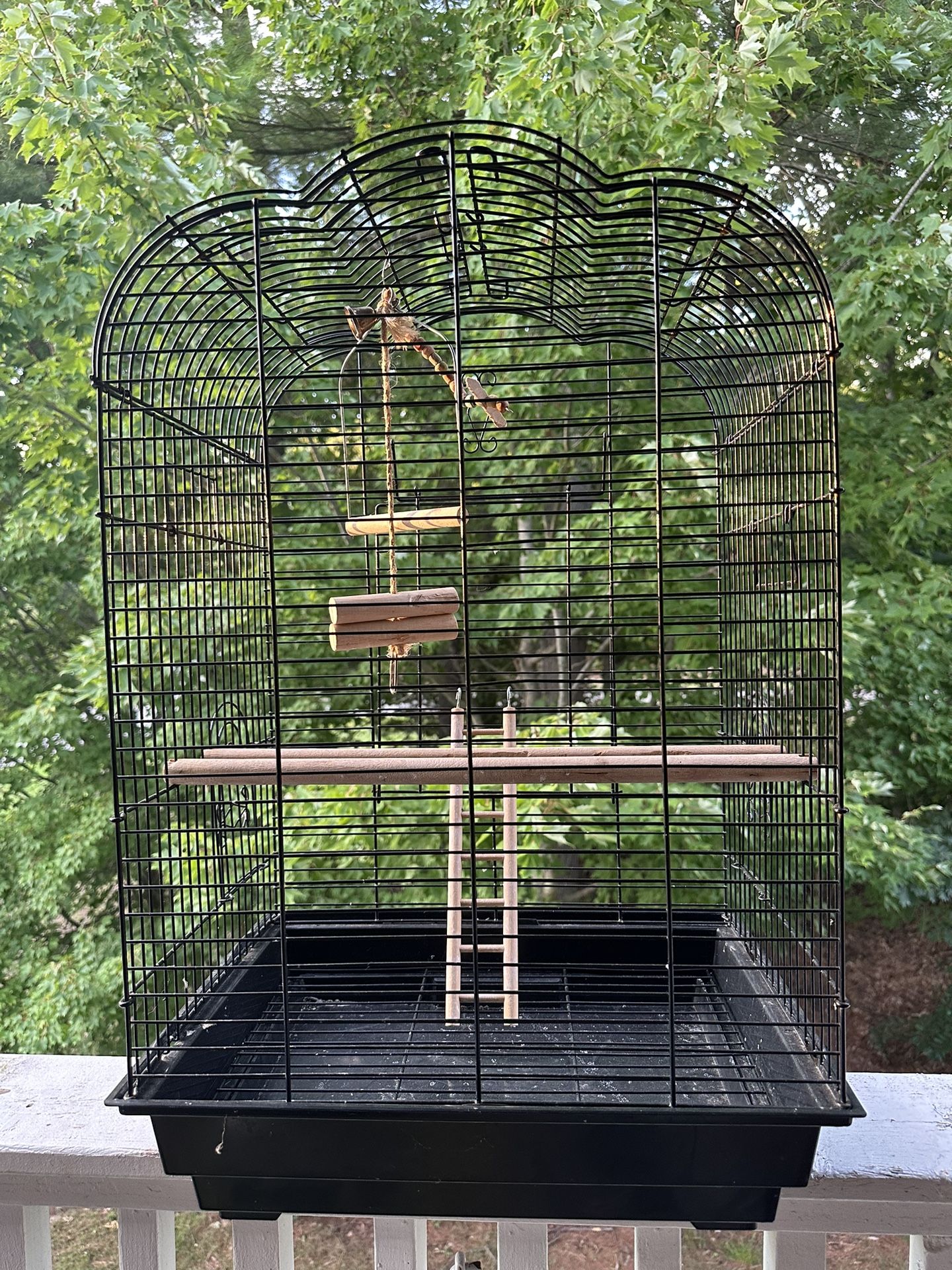 Bird Cage