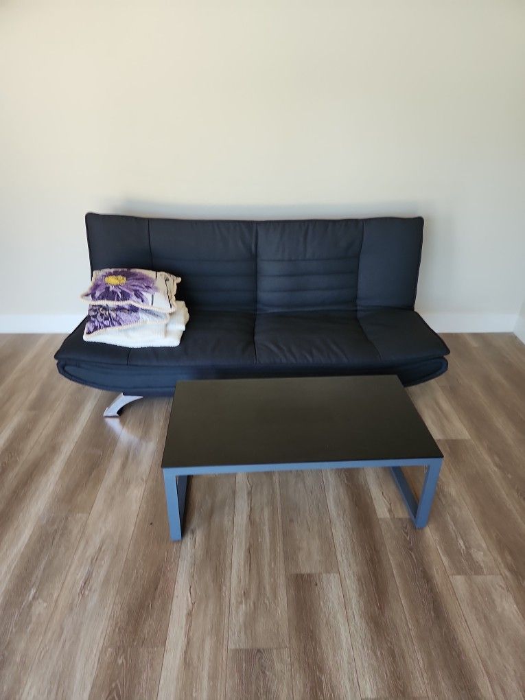 Futon SOFA Bed 