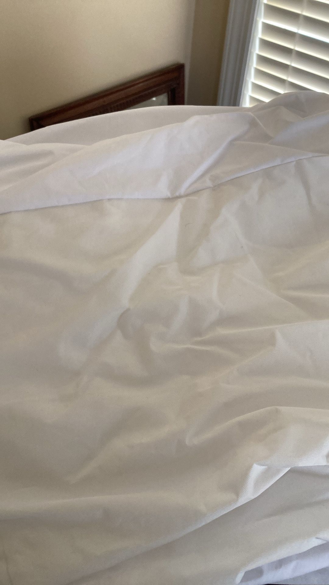 Free Queen Mattress Protector